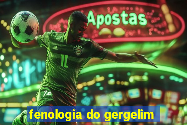 fenologia do gergelim