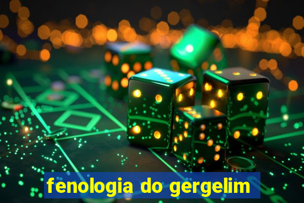 fenologia do gergelim