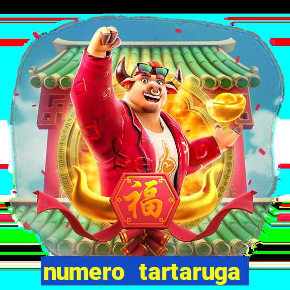 numero tartaruga jogo do bicho