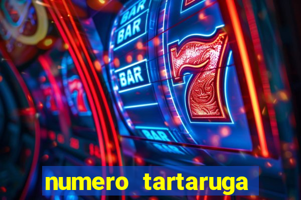 numero tartaruga jogo do bicho