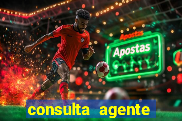 consulta agente autuador sp