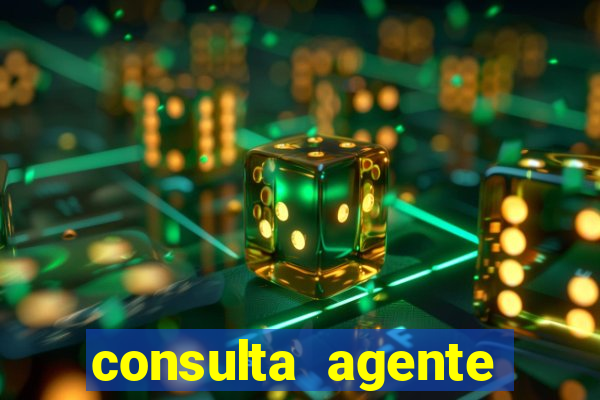 consulta agente autuador sp