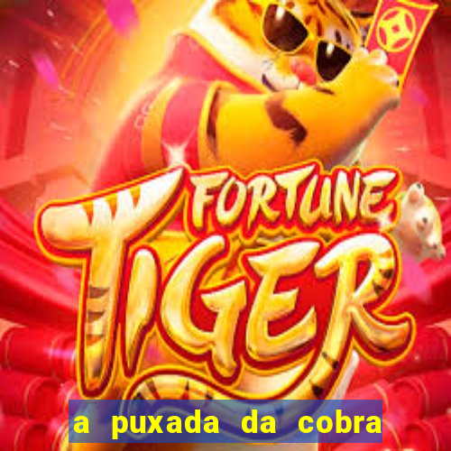 a puxada da cobra no jogo do bicho