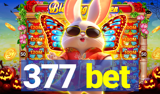 377 bet