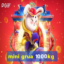 mini grua 1000kg