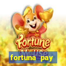 fortuna pay consultoria financeira ltda