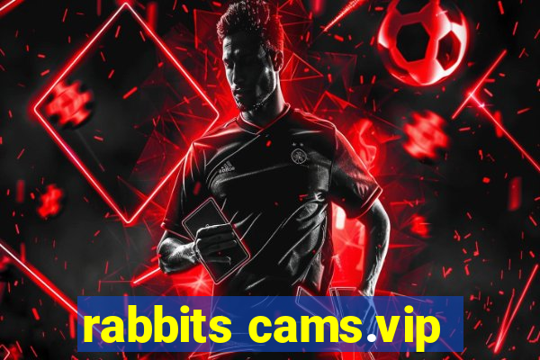 rabbits cams.vip