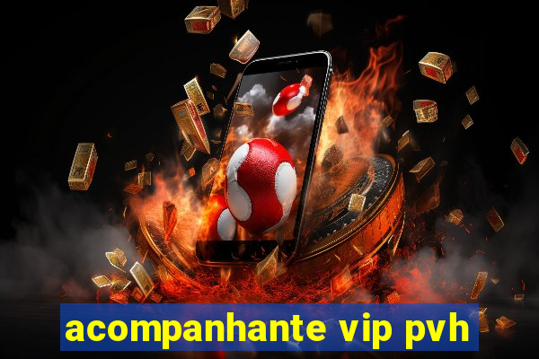 acompanhante vip pvh