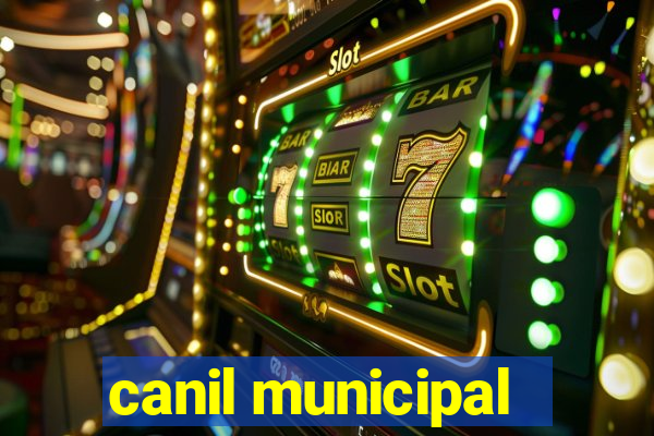 canil municipal