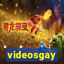 videosgay