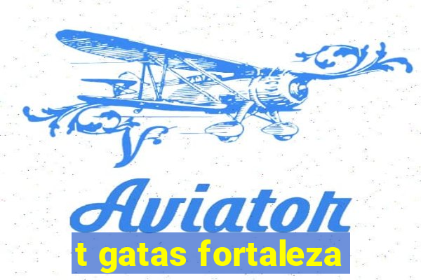 t gatas fortaleza