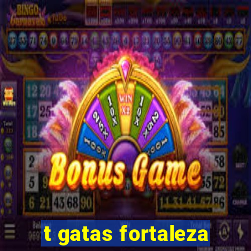 t gatas fortaleza