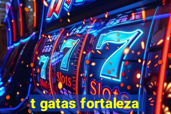 t gatas fortaleza