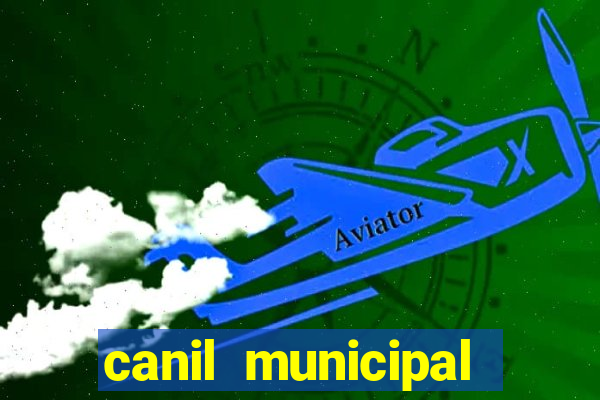 canil municipal porto alegre