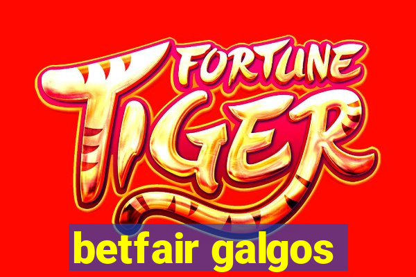 betfair galgos