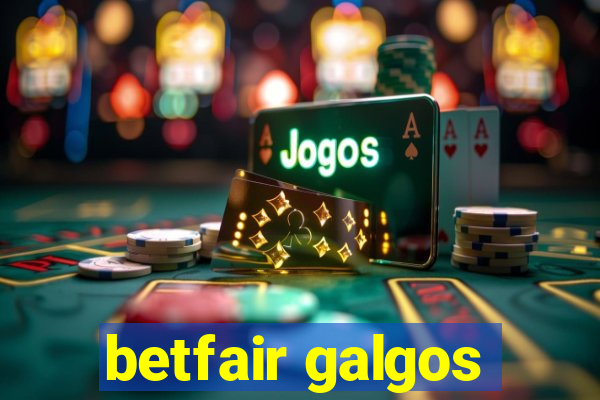 betfair galgos