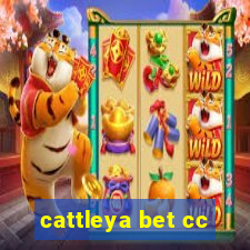 cattleya bet cc