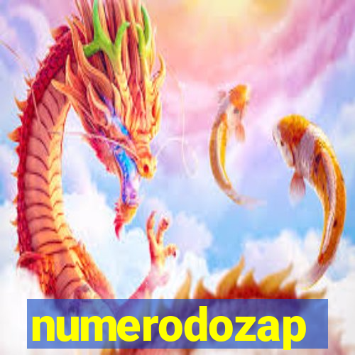 numerodozap