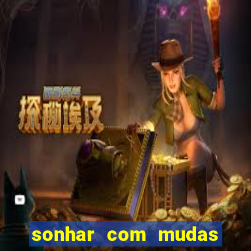 sonhar com mudas de plantas