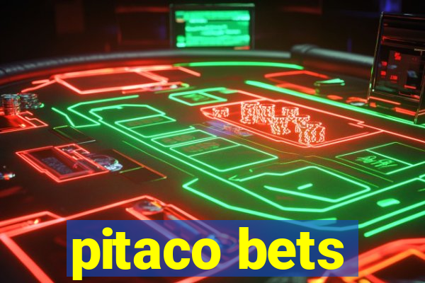 pitaco bets