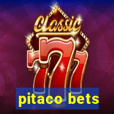 pitaco bets