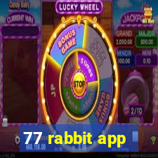 77 rabbit app