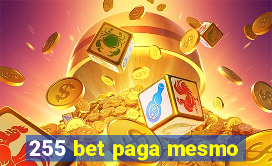 255 bet paga mesmo