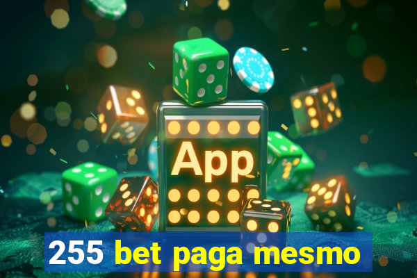 255 bet paga mesmo