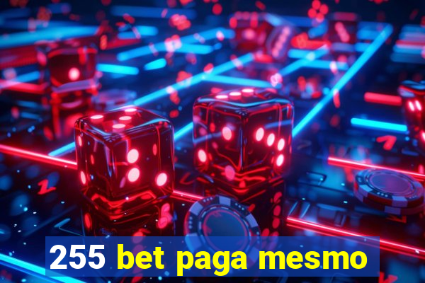 255 bet paga mesmo