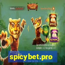 spicybet.pro