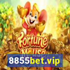 8855bet.vip