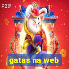 gatas na web