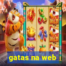 gatas na web