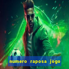 numero raposa jogo do bicho