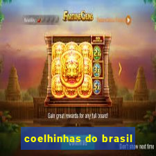 coelhinhas do brasil