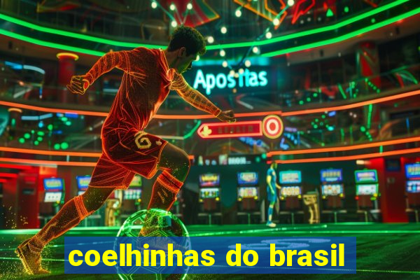 coelhinhas do brasil