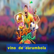 vino de carambola stardew valley