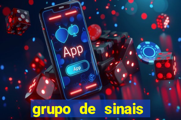 grupo de sinais fortune rabbit