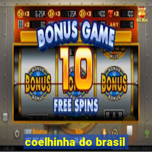 coelhinha do brasil