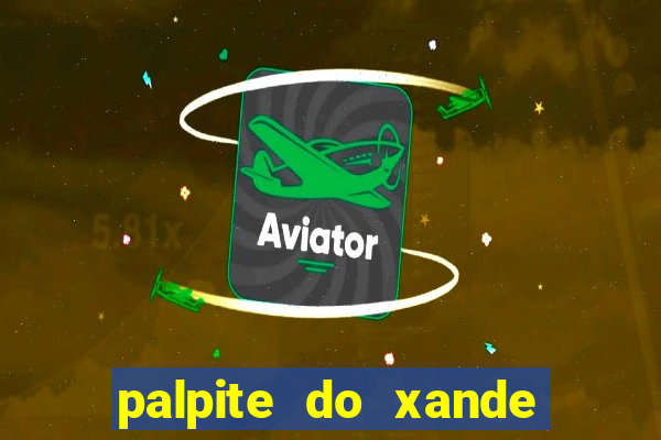 palpite do xande de hoje