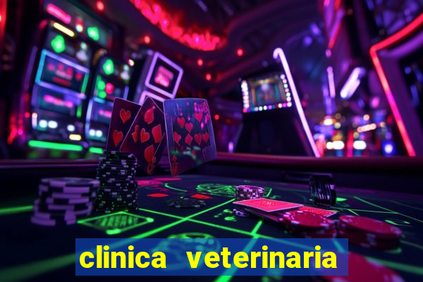 clinica veterinaria cuidar betim