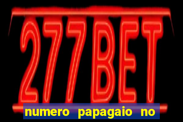 numero papagaio no jogo do bicho