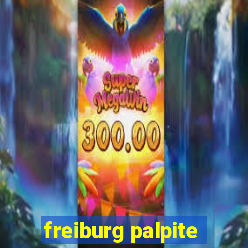 freiburg palpite