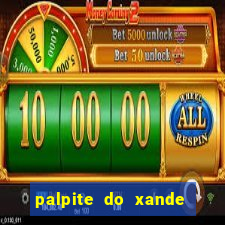 palpite do xande para hoje