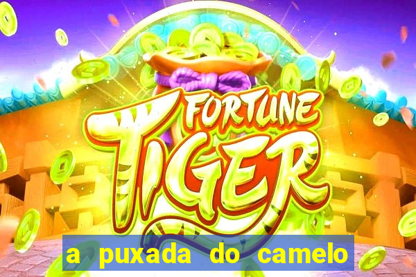 a puxada do camelo no jogo do bicho