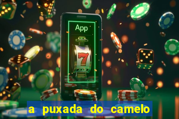 a puxada do camelo no jogo do bicho