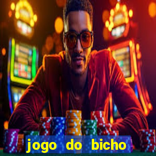 jogo do bicho crash bingo