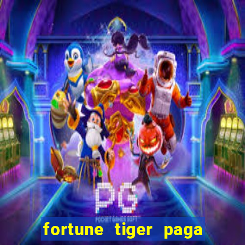 fortune tiger paga de madrugada