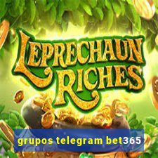 grupos telegram bet365