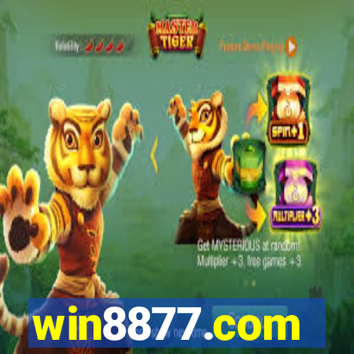 win8877.com